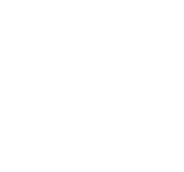 Bird Dog Landscaping